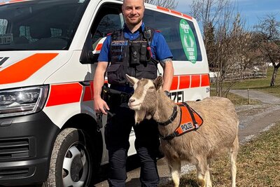 Kantonspolizei Schwyz Aprilscherz