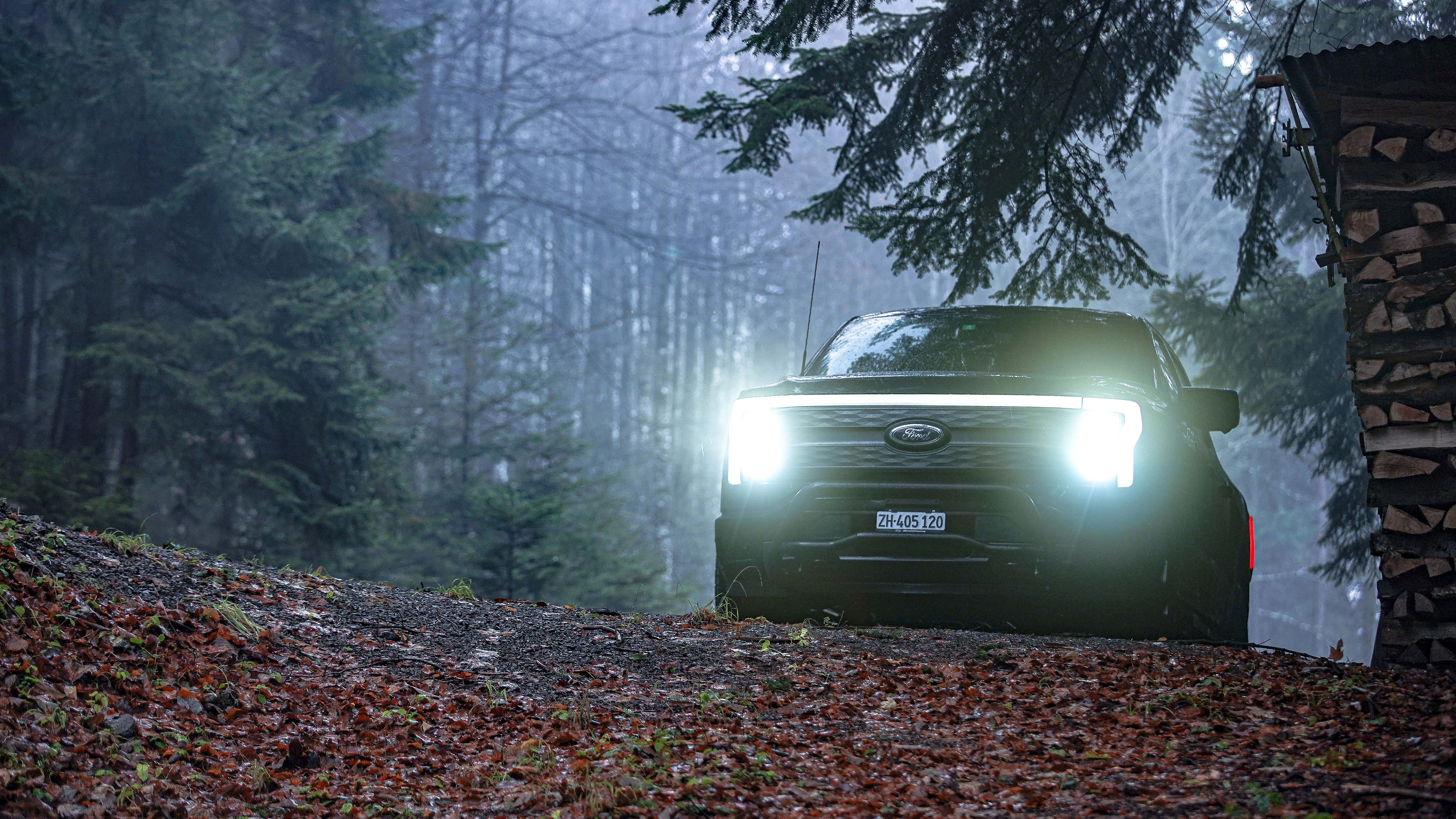 Der Ford F-150 Lightning im Wald