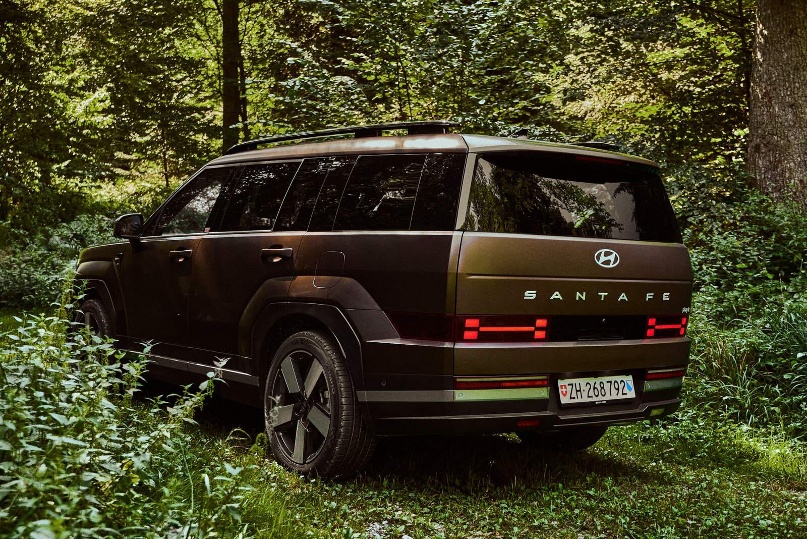 Hyundai Santa Fe von hinten