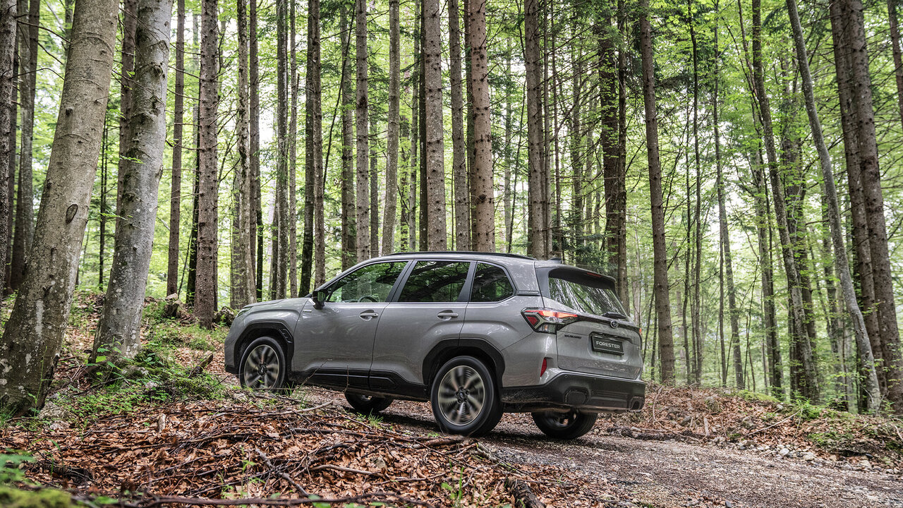 Subaru Forester von hinten