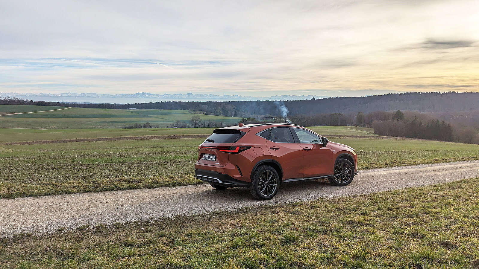 Lexus NX 450h+ von hinten