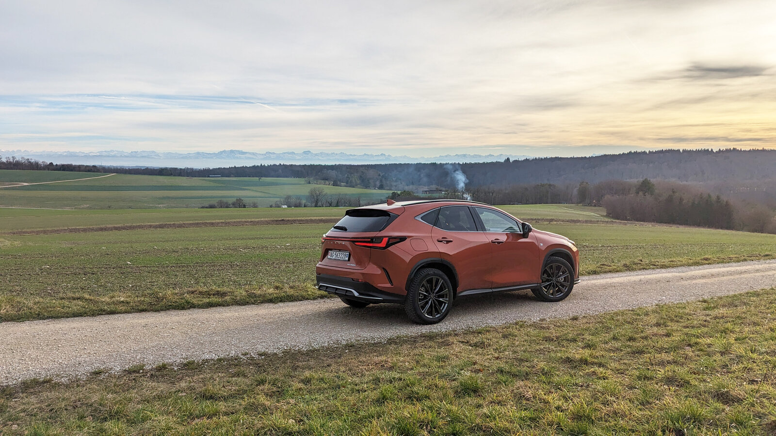 Lexus NX 450h+ von hinten