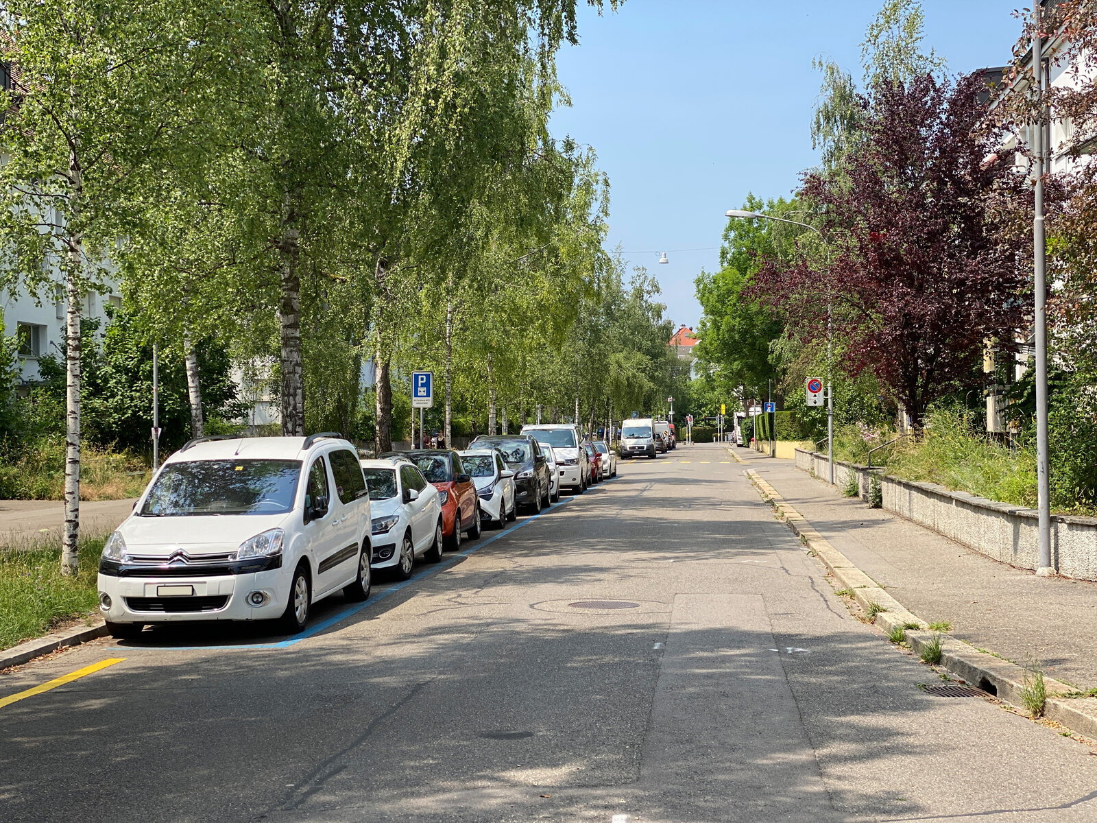 Aufhebung Blaue Zone Velovorzugsroute - Bild Strasse