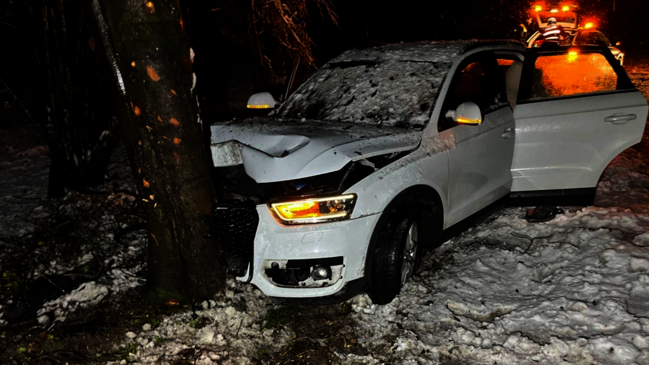 Das Auto kollidierte frontal mit einem Baum. Die Beifahrerin wurde dabei leicht verletzt und wurde ins ein Spital gebracht. Bild: Kapo SO