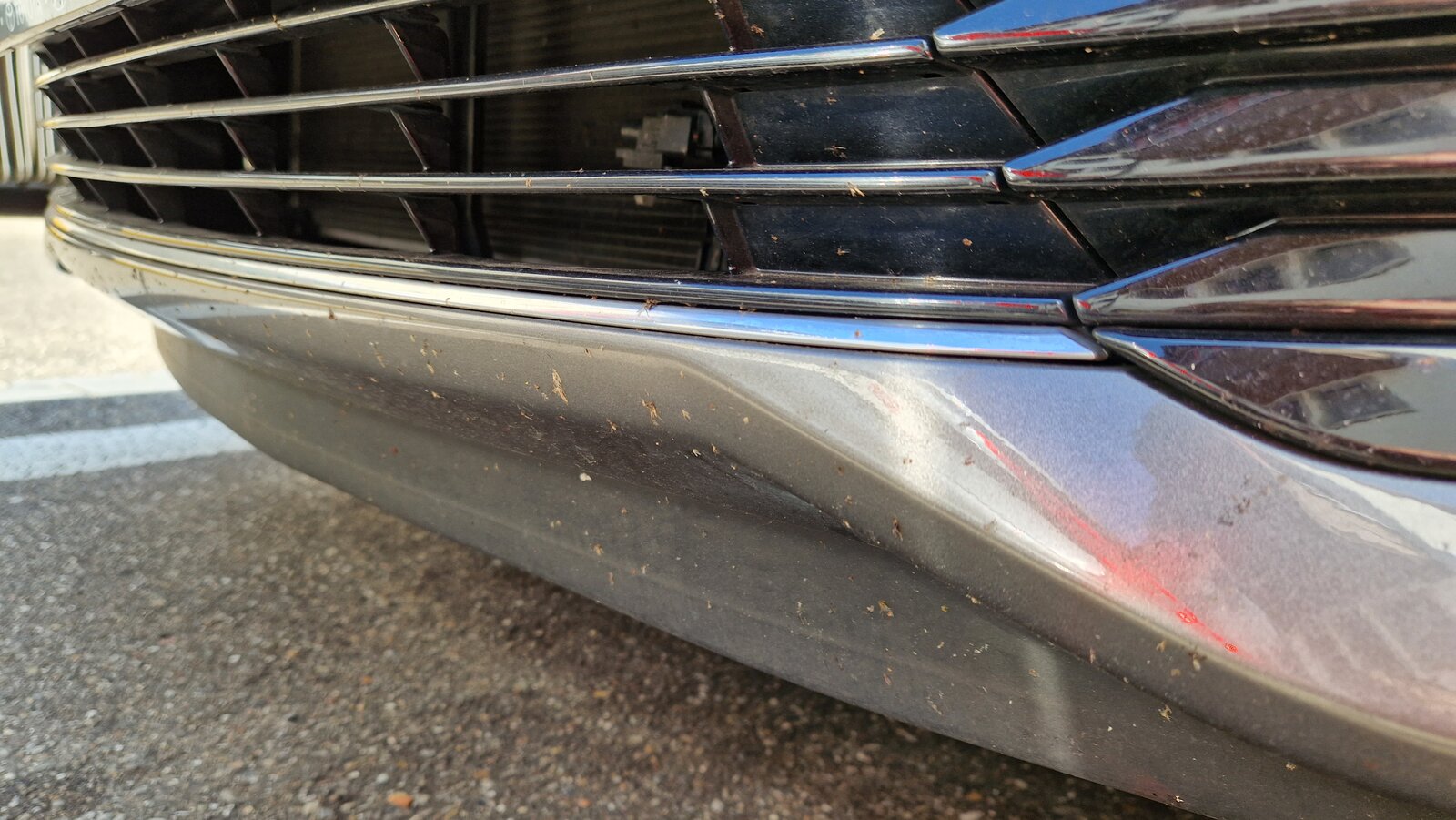 Insektenüberreste am Stossfänger eines Autos