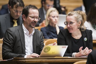 Sie sind die grossen Verlierer der Wahlen: Balthasar Glättli, Parteipräsident Grüne, und Aline Trede, Fraktionspräsidentin Grüne.