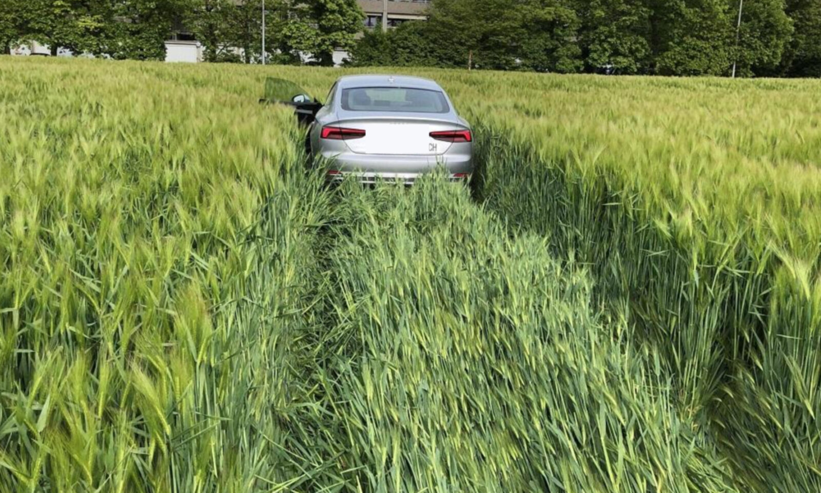 Wie bei diesem Unfall im Kanton Aargau im Januar 2024 raste auch der junge Kroate bei Boppelsen ZH ins Feld. Vom Vorfall liegen keine Aufnahmen vor. Symbolbild: Kantonspolizei Aargau