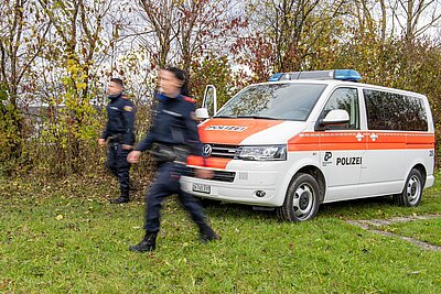 Polizeiauto am Waldrand.