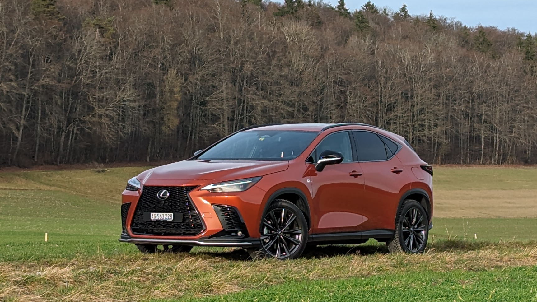 Lexus NX 450h+ von vorne