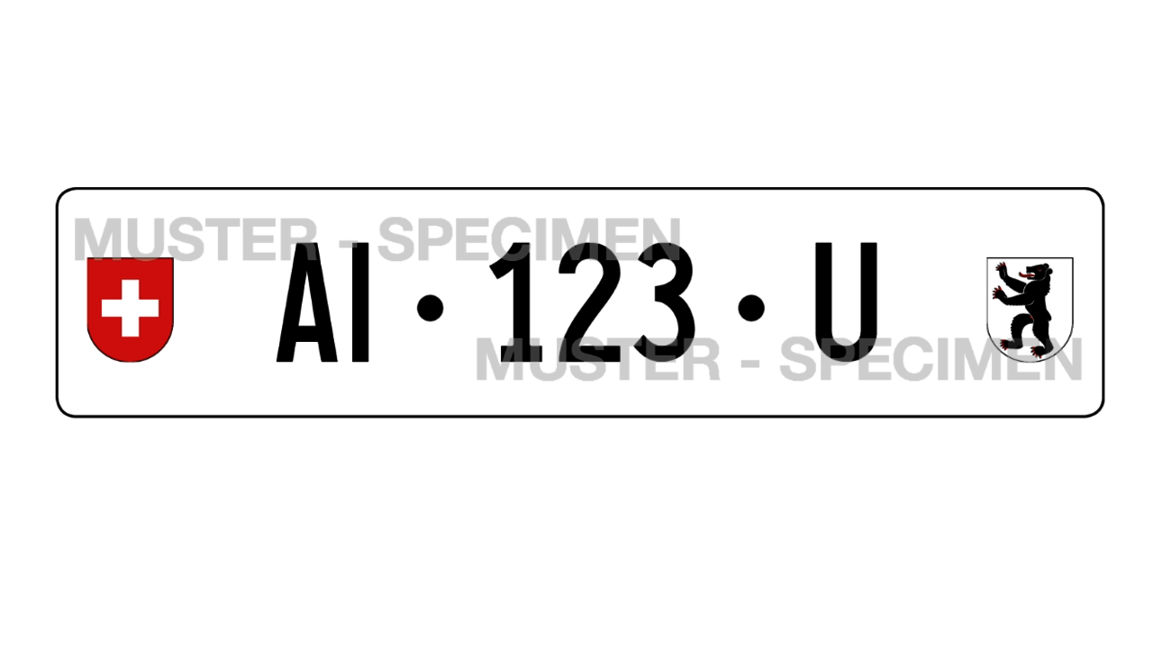 Eine Garagennummer erkennt man am "U" nach der Kennziffer. Bild: fahrzeugausweis.ch