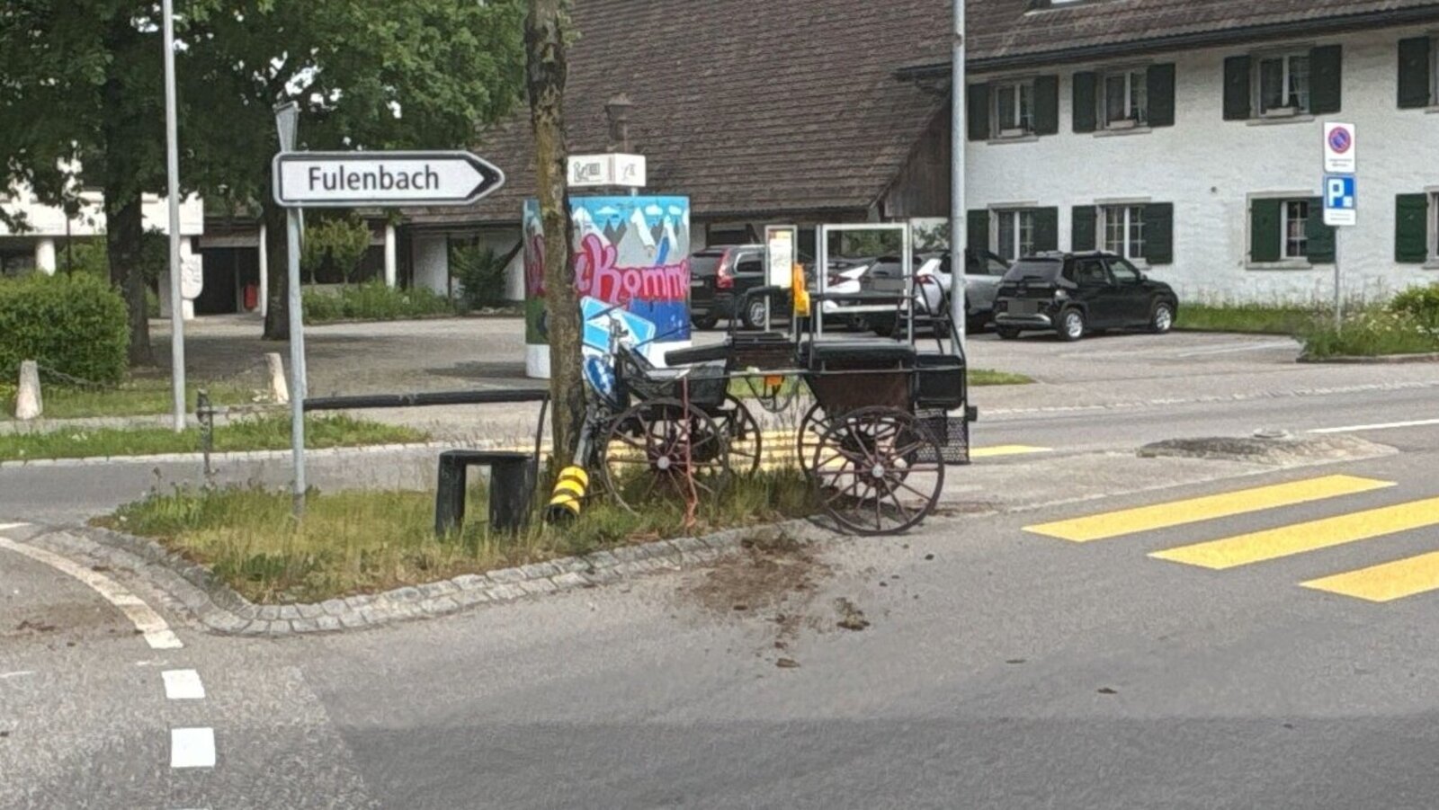 Bei der Fluchtfahrt wurde weder Menschen noch die Tiere verletzt. Bild: Kapo SO