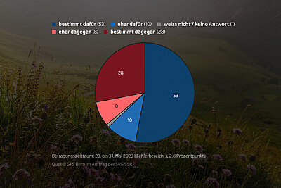 Infografik Abstimmung Klimaschutzgesetz Umfrage Teaser Bild