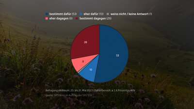 Infografik Abstimmung Klimaschutzgesetz Umfrage Teaser Bild