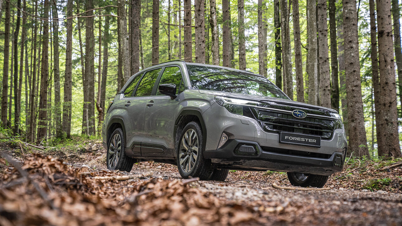 Subaru Forester im Wald