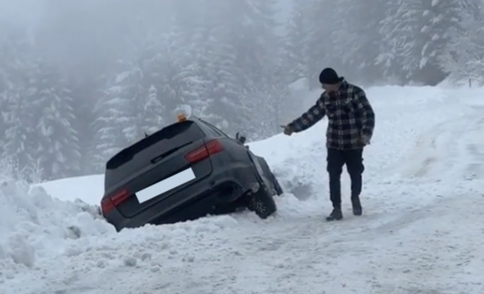 Audi steht neben der Strasse