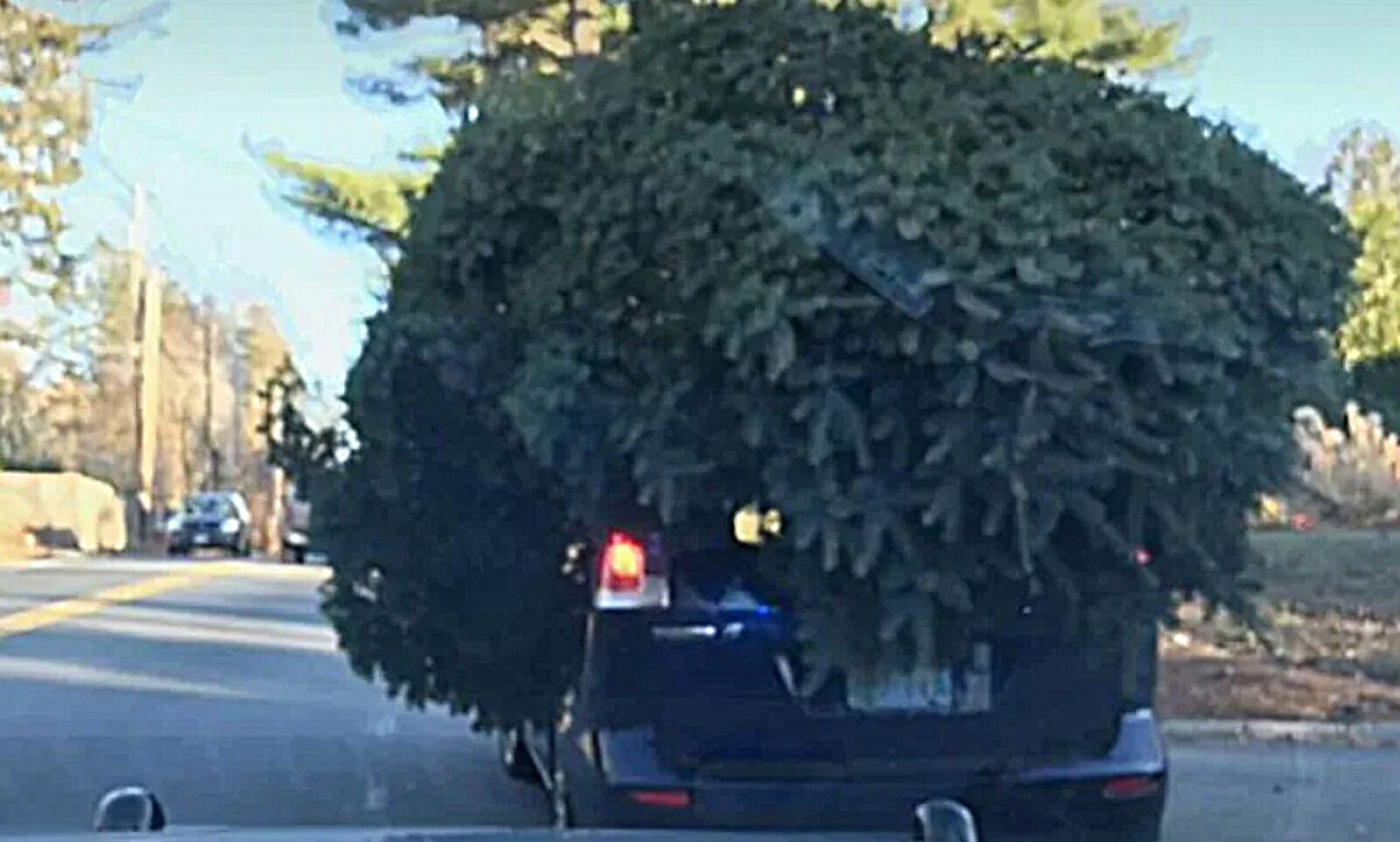 Ob hier der Lenker überhaupt noch irgendetwas von der Strasse sieht ist fraglich. Er wurde von der Polizei in Sudbury im US-Bundesstaat Massachusetts aus dem Verkehr gezogen. Bild: Sudbury Police