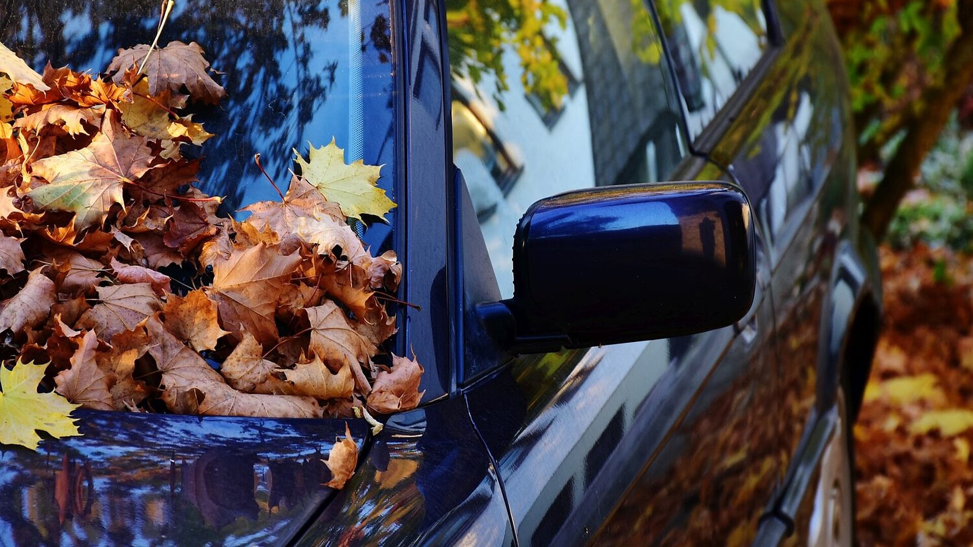 Verstopfen Blätter die Luftzufuhr ins Auto, beschlagen die Windschutzscheiber schneller. Bild: Rita, Pixabay