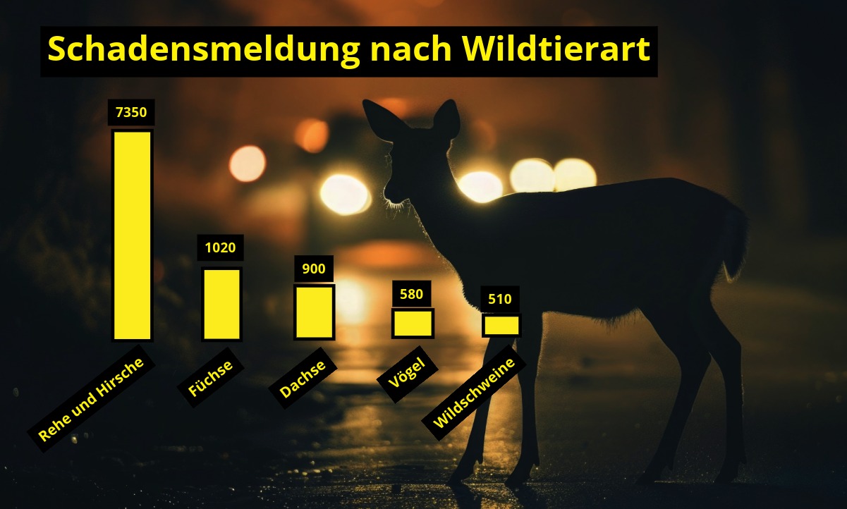 Kommt es zur Kollision zwischen einem Wildtier und einem Auto handelt es sich bei den betroffenen Tieren meistens um Rehe oder Hirsche. Grafik: STREETLIFE, Adobe Stocks