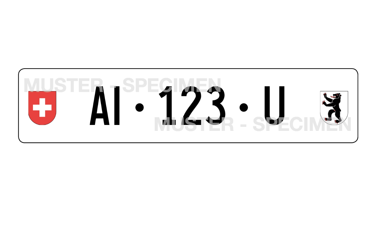 Eine Garagennummer erkennt man am "U" nach der Kennziffer. Bild: fahrzeugausweis.ch