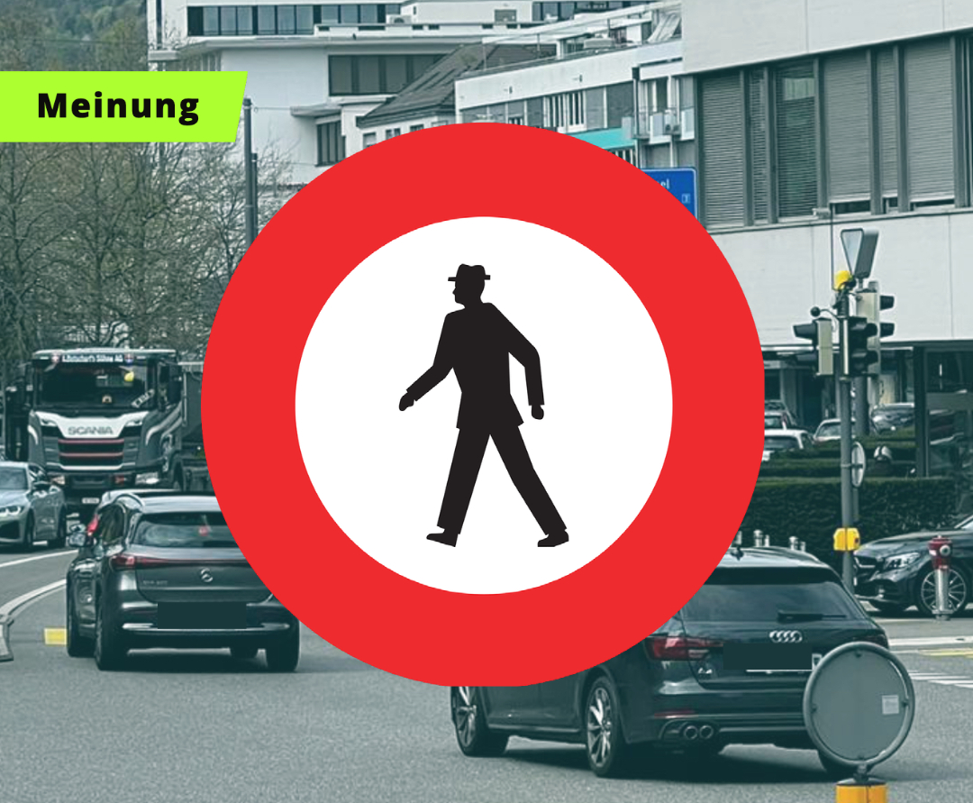Verkehrsbild Teaser Meinung
