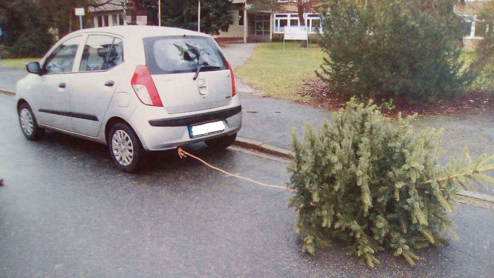 Seine ganz eigene Methode hatte dieser Mann aus dem deutschen Städtchen Lehre. Für eine kurze Streckte befestigte er den Baum einfach an einem Abschleppseil. Die Polizei hats trotzdem bemerkt. Bild: Polizei Wolfsburg